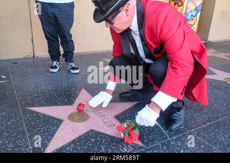 Los Angeles, Usa. 26. August 2023. Greg Donovan legt Blumen in den Star von Bob Barker auf dem Hollywood Walk of Fame. Bob Barker, der langjährige ``Price is Right''-Moderator, der von 1972 bis 2007 die längste Tagesspielshow in der nordamerikanischen Fernsehgeschichte leitete, starb im Alter von 99 Jahren. Quelle: SOPA Images Limited/Alamy Live News Stockfoto